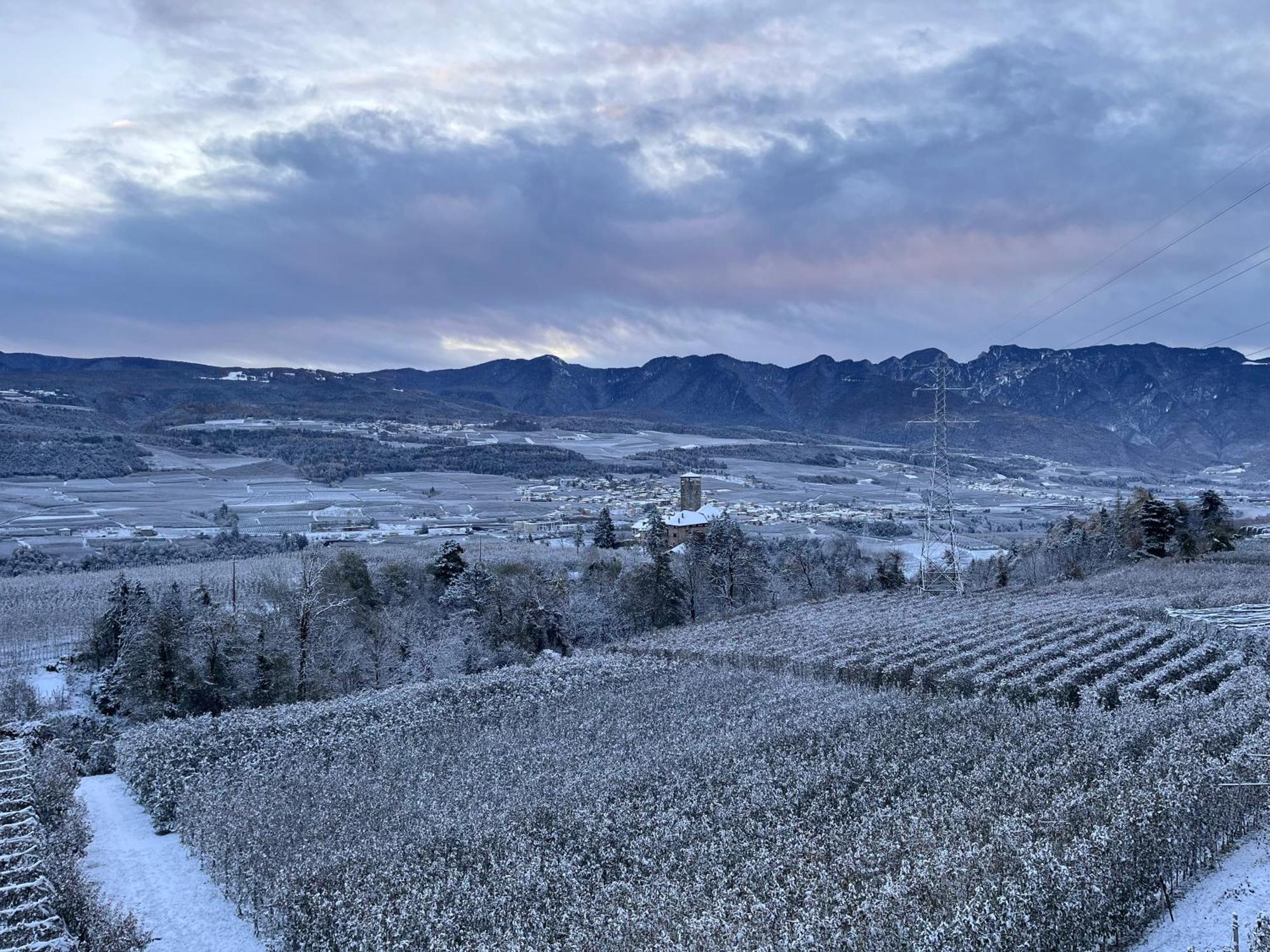 Апартаменты Maso Valer - Agritur Тассулло Экстерьер фото